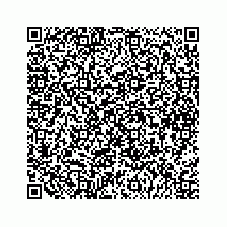 vCard 79044802994