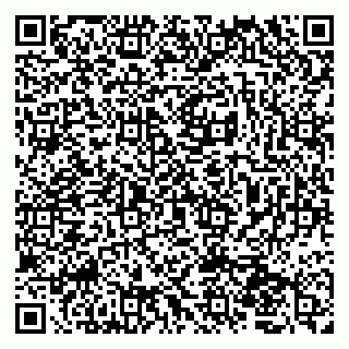 vCard 79045200041