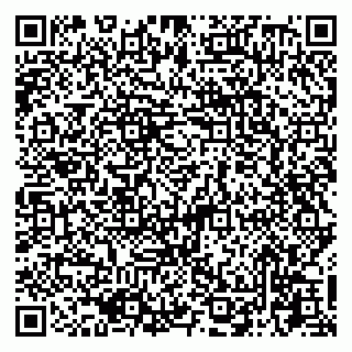 vCard 79045200229
