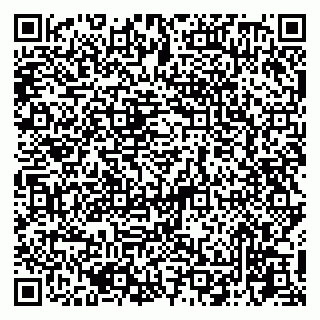 vCard 79045200311