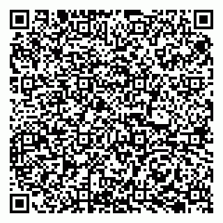 vCard 79045200335