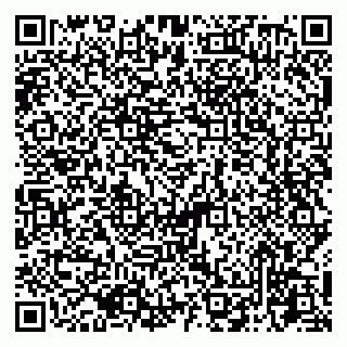 vCard 79045200355