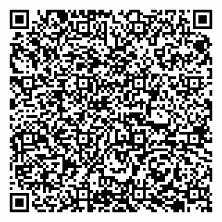 vCard 79045200373