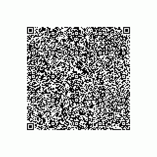 vCard 79045200389