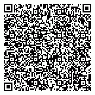 vCard 79045200393