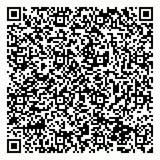 vCard 79045200399