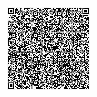 vCard 79045594094
