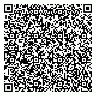 vCard 79048010533