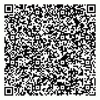 vCard 79048038729