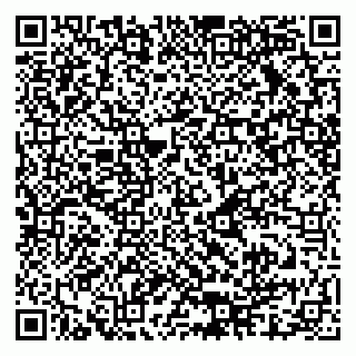 vCard 79048039000