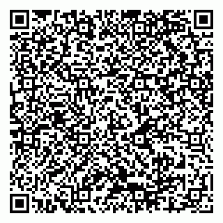 vCard 79048109728