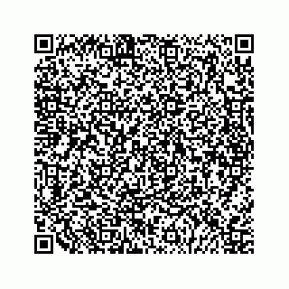 vCard 79048709731