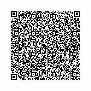 vCard 79048711296