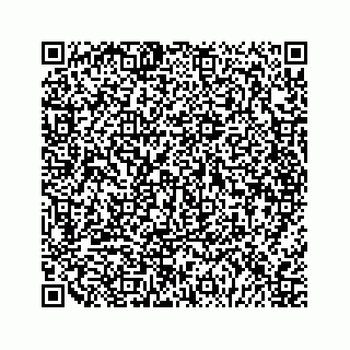 vCard 79048720513