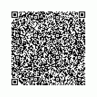 vCard 79048727103