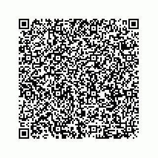 vCard 79048727873