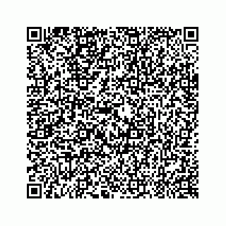 vCard 79048727903