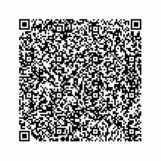 vCard 79048728010