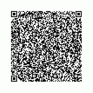 vCard 79048780703