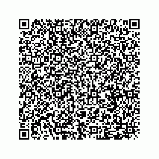 vCard 79048780729