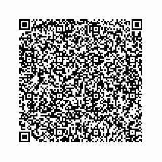vCard 79048780733