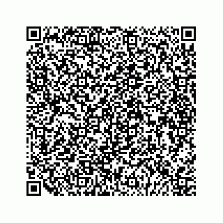 vCard 79048780738