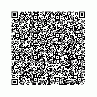 vCard 79048780863