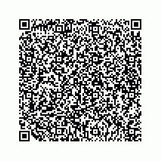 vCard 79048780874