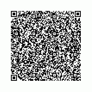 vCard 79048807409