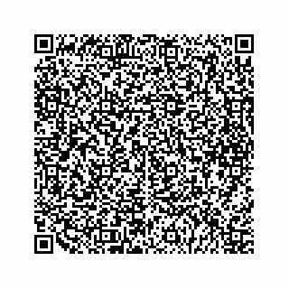 vCard 79048809993