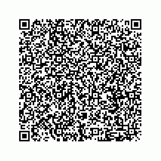 vCard 79048831033
