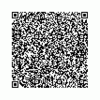 vCard 79048850131