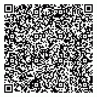 vCard 79049401531