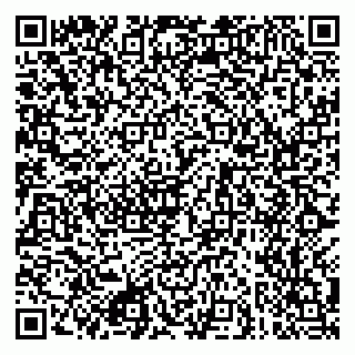 vCard 79049401535