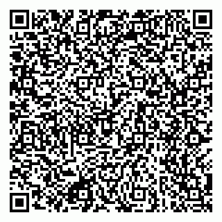 vCard 79049401538