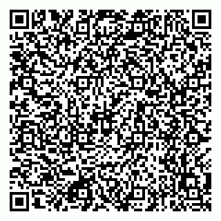 vCard 79049406273