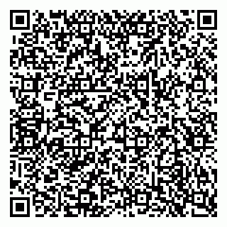 vCard 79049406305