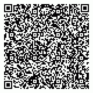 vCard 79049435313