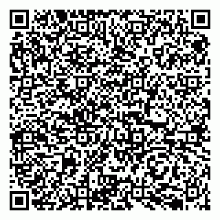 vCard 79050410000