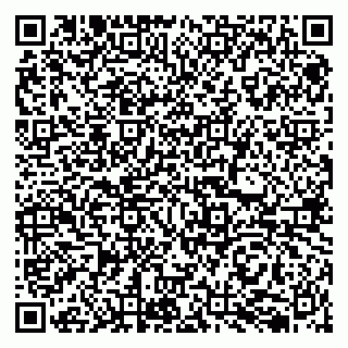 vCard 79050410027