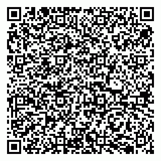 vCard 79050410029
