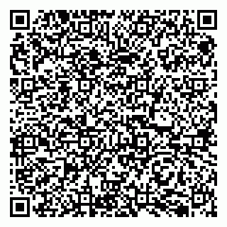 vCard 79050410030