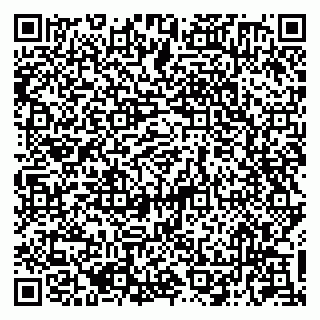 vCard 79050410031