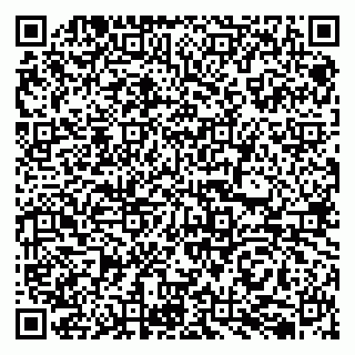 vCard 79050410033