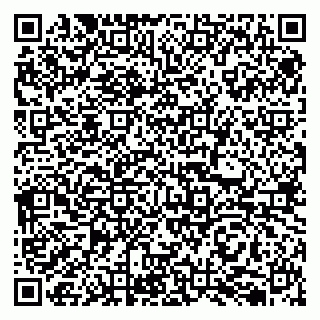 vCard 79050410035