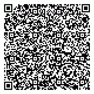 vCard 79050410037
