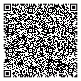 vCard 79050410038