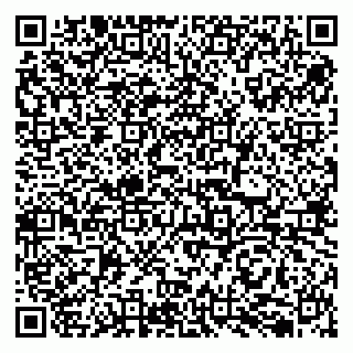 vCard 79050410039