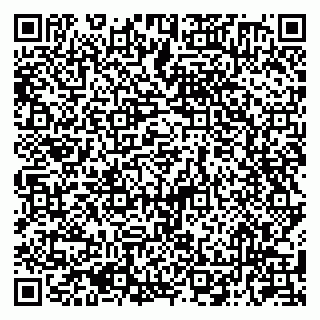 vCard 79050410084