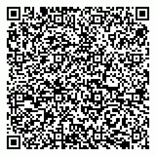vCard 79050410089